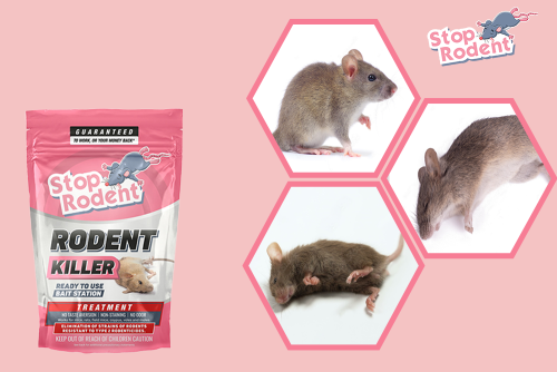 Законен ли е Stop Rodent в България?